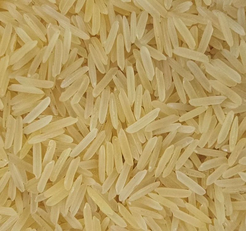 1509 Golden Sella Basmati Rice