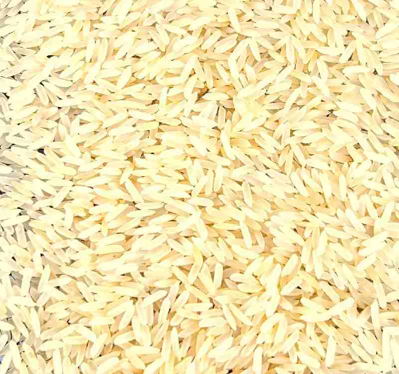 Pr11 Golden Sella Rice