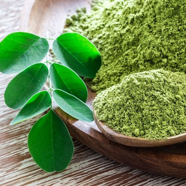 Moringa Powder