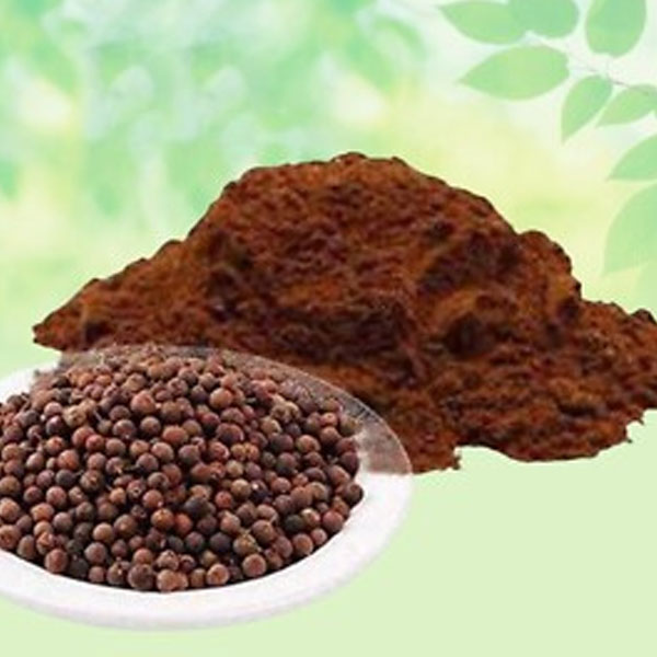 Vidanga Powder